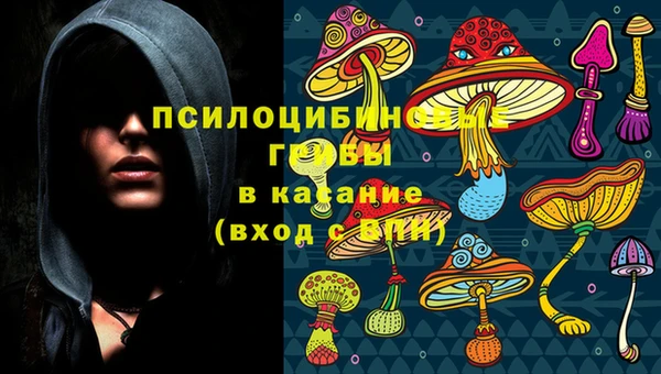 первитин Алексеевка