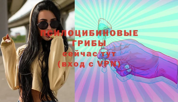 первитин Алексеевка